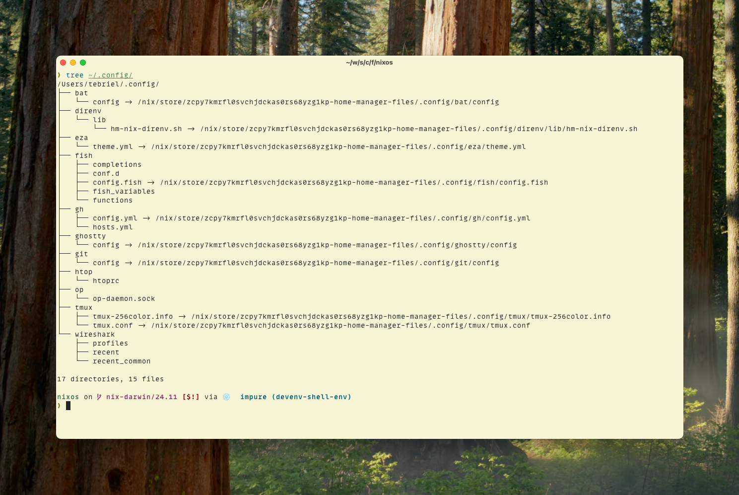 example home-manager config symlinks